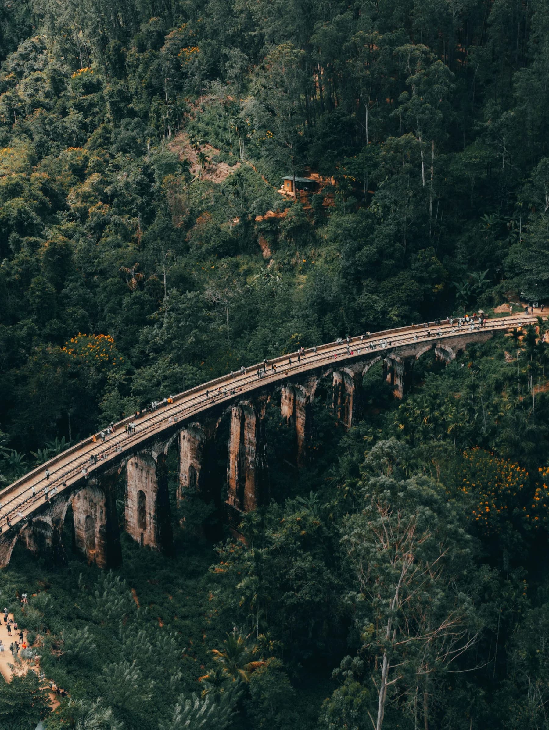 Nine Arch Bridge in the lush hills of Ella